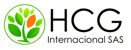 HCG INTERNACIONAL SAS